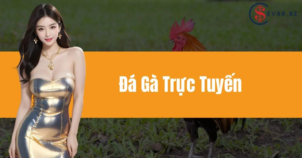 Đá Gà Trực Tuyến