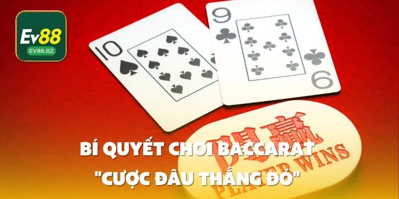 Bí Quyết Chơi Baccarat "Cược Đâu Thắng Đó"